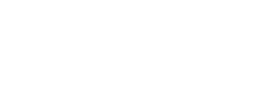 Le petit Paumé